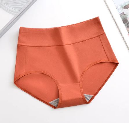 Full Figure Sculpting Panties
