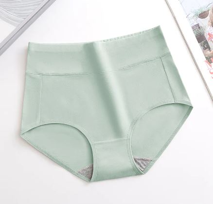 Full Figure Sculpting Panties