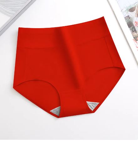 Full Figure Sculpting Panties