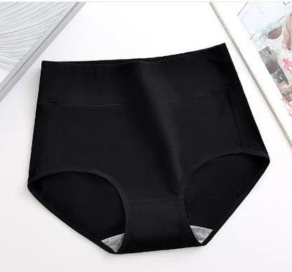 Full Figure Sculpting Panties