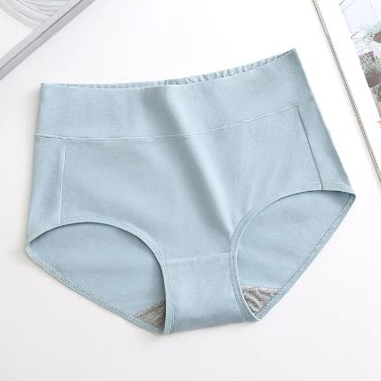 Full Figure Sculpting Panties