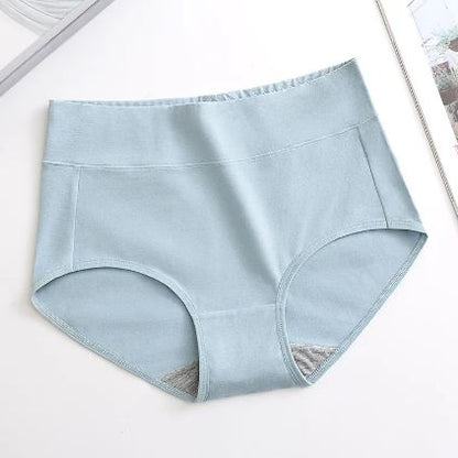 Full Figure Sculpting Panties