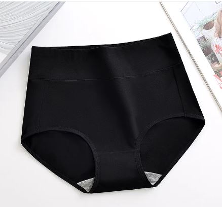 Full Figure Sculpting Panties
